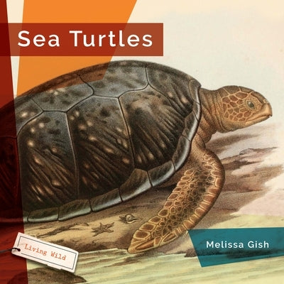 Sea Turtles by Gish, Melissa