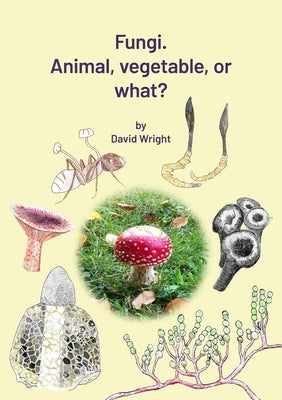 FUNGI. Animal, Vegetable or What? by Wright, David