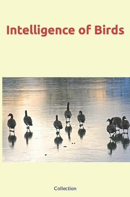 Intelligence of Birds by Nature and Human Studies