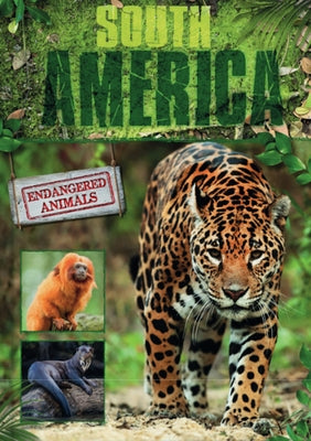 South America by Jones, Grace