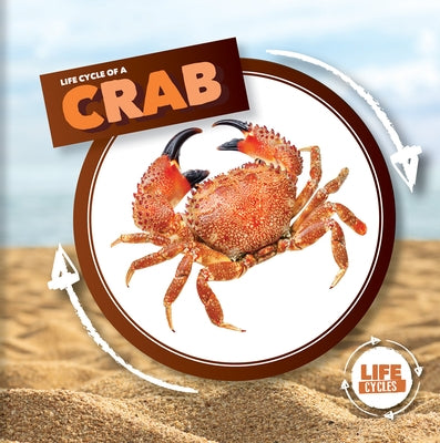 Life Cycle of a Crab by Holmes, Kirsty