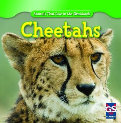 Cheetahs by Grucella, Ethan