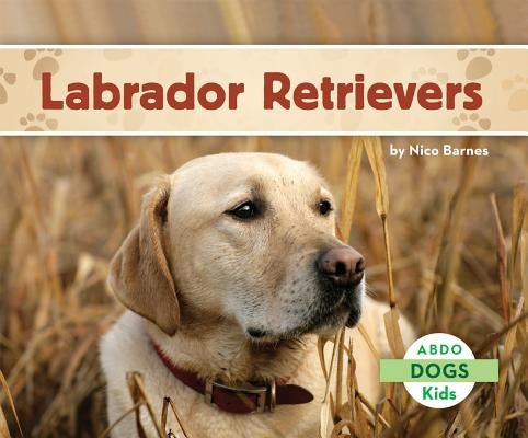 Labrador Retrievers by Barnes, Nico