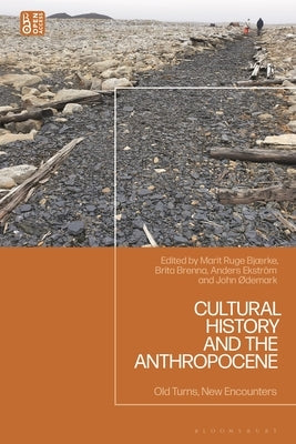 Cultural History and the Anthropocene: Old Turns, New Encounters by Ekström, Anders