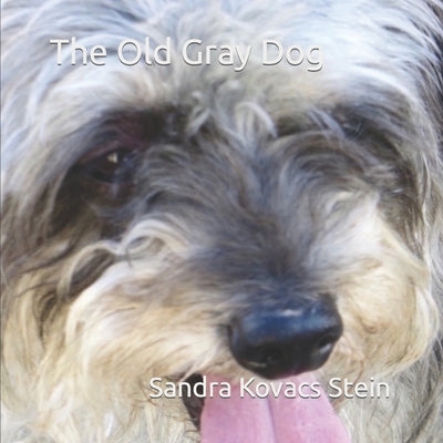 The Old Gray Dog by Stein, Sandra Kovacs
