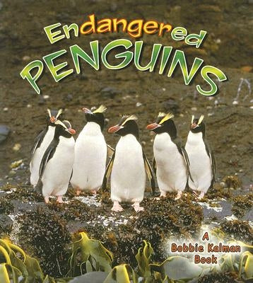 Endangered Penguins by Kalman, Bobbie