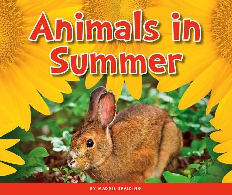 Animals in Summer by Spalding, Maddie