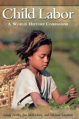 Child Labor: A World History Companion ( World History Companions ) by Hobbs, Sandy