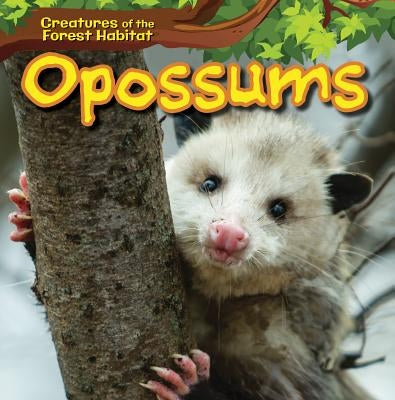 Opossums by Quinlivan, Ada