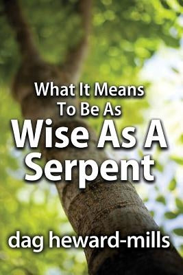 What It Means to Be as Wise as a Serpent by Heward-Mills, Dag