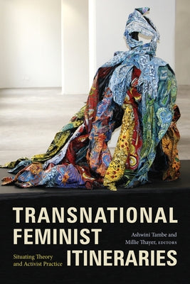 Transnational Feminist Itineraries: Situating Theory and Activist Practice by Tambe, Ashwini