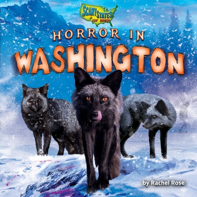 Horror in Washington by Rose, Rachel