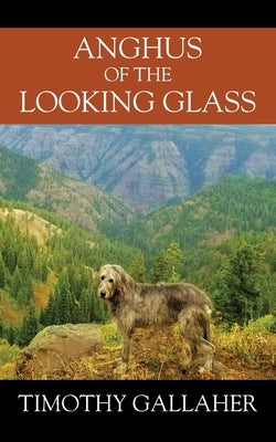 Anghus of the Looking Glass by Gallaher, Timothy