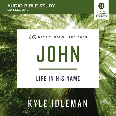 John: Audio Bible Studies: Life in His Name by Idleman, Kyle