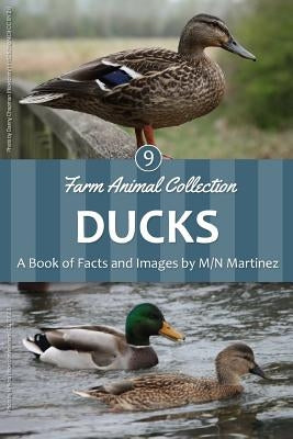 Ducks by Martinez, M/N