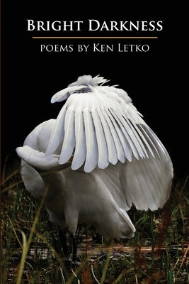 Bright Darkness by Letko, Ken