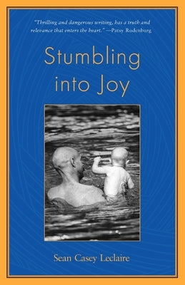 Stumbling into Joy by LeClaire, Sean Casey