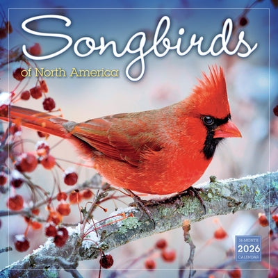 2026 Songbirds of North America Wall Calendar by Maslowski, Steve And Dave