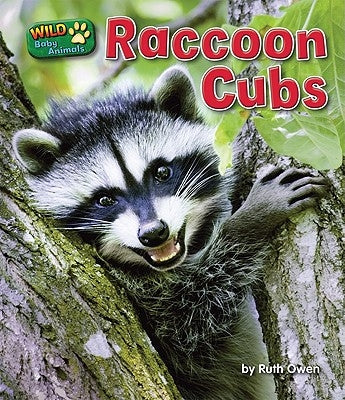 Raccoon Cubs by Owen, Ruth