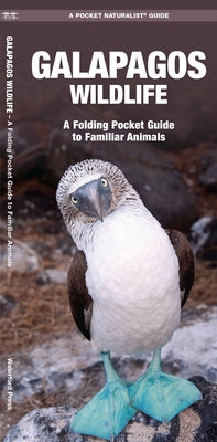 Galapagos Wildlife: An Introduction to Familiar Species by Kavanagh, James
