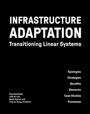 Infrastructure Adaptation: Transitioning Linear Systems by Domlesky, Anya