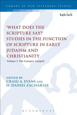 'What Does the Scripture Say?' Studies in the Function of Scripture in Early Judaism and Christianity, Volume 1: Volume 1: The Synoptic Gospels by Evans, Craig A.