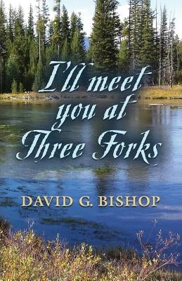 I'll Meet You at Three Forks by Bishop, David G.