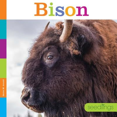 Bison by Arnold, Quinn M.