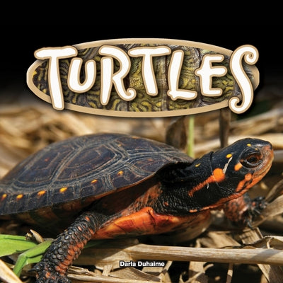 Turtles by Duhaime, Darla