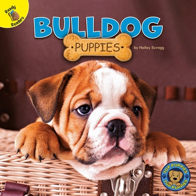 Bulldog Puppies by Scragg
