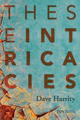 These Intricacies by Harrity, Dave