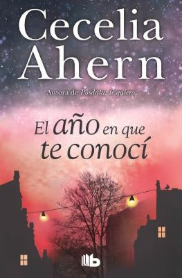 El Año En Que Te Conocí / The Year I Met You by Ahern, Cecelia