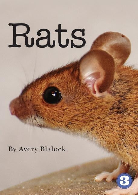 Rats by Blalock, Avery