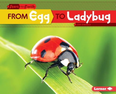 From Egg to Ladybug by Owings, Lisa