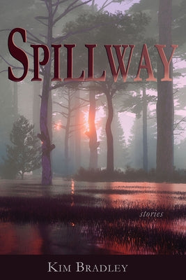 Spillway by Bradley, Kim