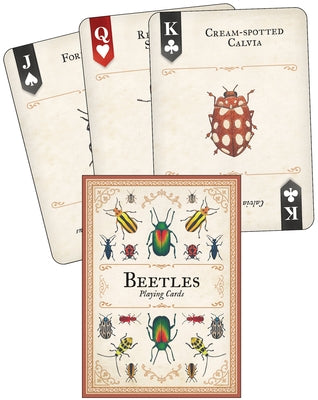 Beetles Playing Cards by Bry, Mel