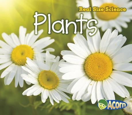 Plants by Rissman, Rebecca