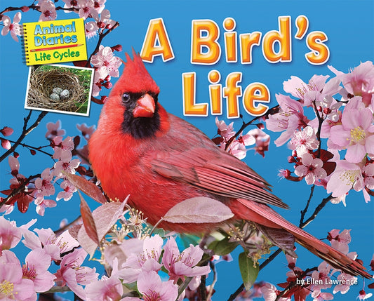 A Bird's Life by Lawrence, Ellen