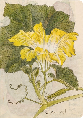 Japanese Squash Blossom Lined Paperback Journal: Blank Notebook with Pocket by Tuttle Studio