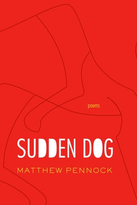 Sudden Dog by Pennock, Matthew