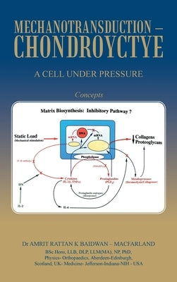Mechanotransduction - Chondroyctye: A Cell Under Pressure by Baidwan -. Macfarland, Amrit Rattan K.