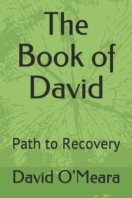 The Book of David: Path to Recovery by O'Meara, David Alan