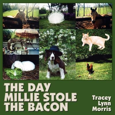 The Day Millie Stole the Bacon by Morris, Tracey Lynn