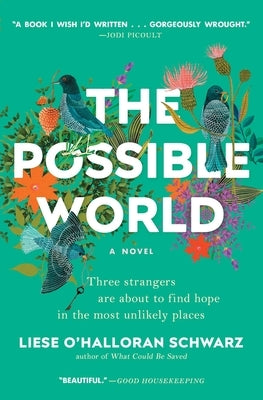 The Possible World by Schwarz, Liese O.