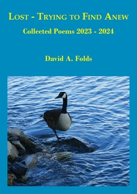 Lost - Trying to Find Anew by Folds, David