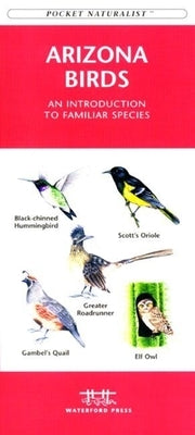 Colorado Trees & Wildflowers: An Introduction to Familiar Species by Kavanagh, James