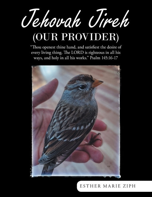 Jehovah Jireh (Our Provider) by Ziph, Esther Marie