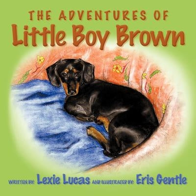 The Adventures of Little Boy Brown by Lucas, Lexie