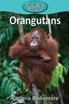 Orangutans by Blakemore, Victoria