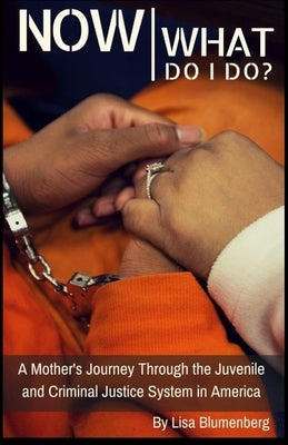 Now What Do I Do?: A Mother's Journey Through the Juvenile and Criminal Justice System in America by Blumenberg, Lisa